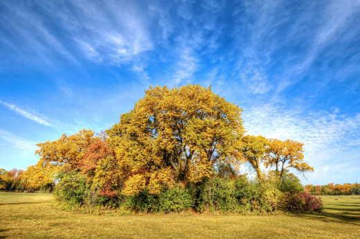 756425 (a): :2900x1926